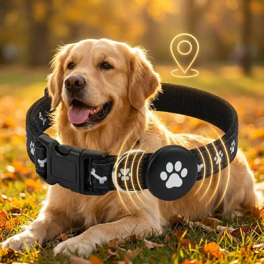 TRACKMYDOG - Collar GPS para perros